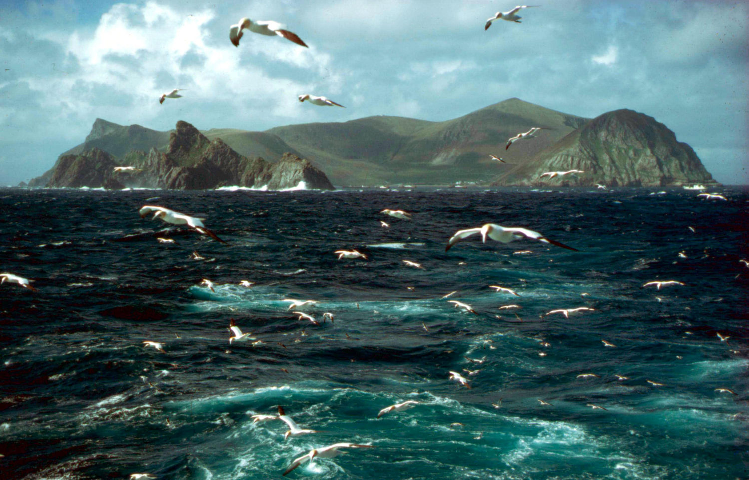 Staff wanted to work on remote island of St Kilda