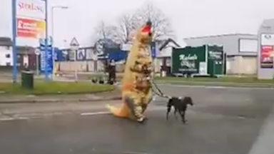 Dog walker wears dinosaur costume amid coronavirus crisis