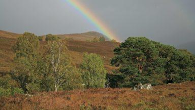 Plans for world’s first rewilding centre at Highland estate