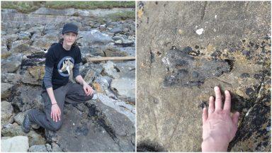 Dinosaur bone found by researcher running on Eigg beach