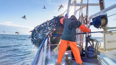 Campaigners call for three-mile fishing limit for trawlers