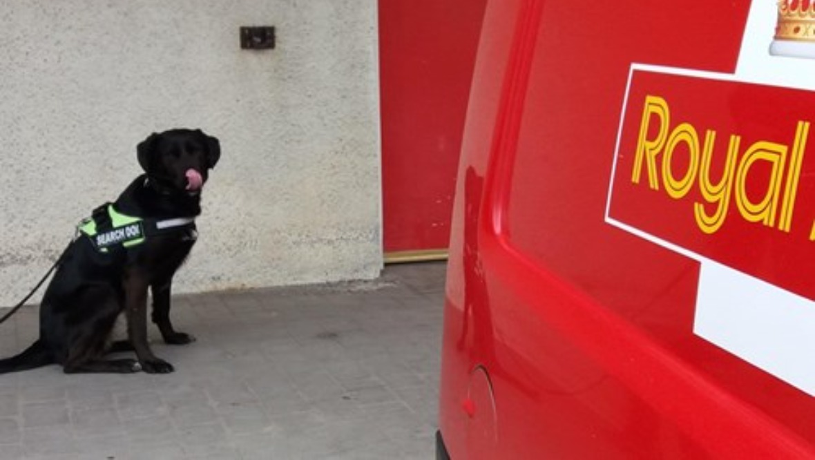 Sniffer dogs help seize £250,000 of drugs and cash