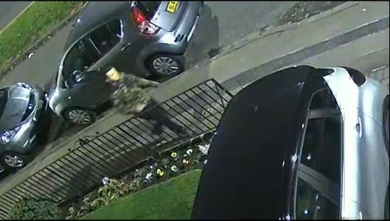 CCTV of man wanted after teenage girl attacked on street