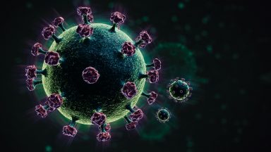 Coronavirus case numbers in Scotland are ‘volatile’