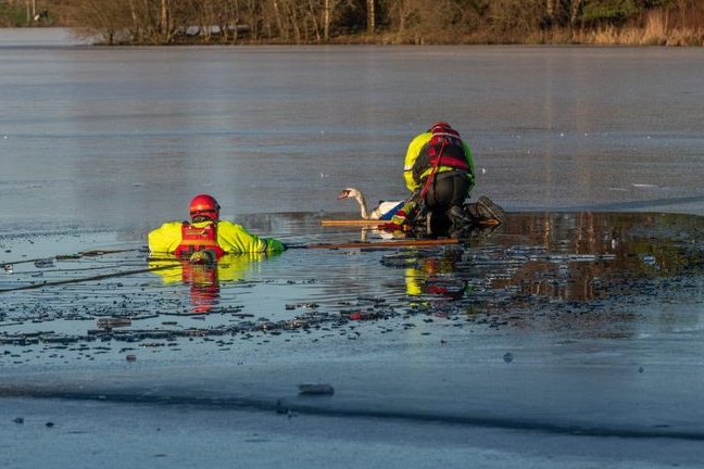 The bird was stuck in the ice for more than six hours.