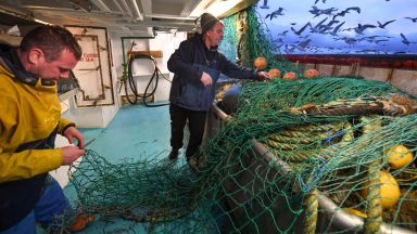 Post-Brexit customs checks ‘holding up seafood exports’