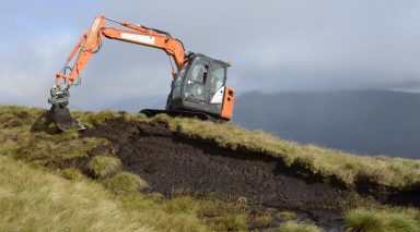 Co-op reveals three-year partnership with RSPB to restore Scottish and Welsh peatland