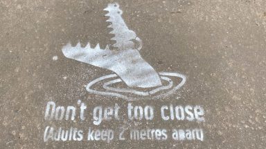 Why are snapping crocodile stencils appearing near nurseries?