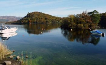 Covid-breach kayaker without paddle rescued from island