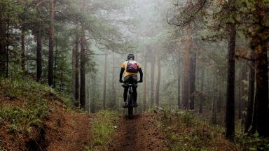 Trees at beauty spot illegally cut down for ‘bike track’