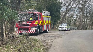 More than ten different fires started in one afternoon