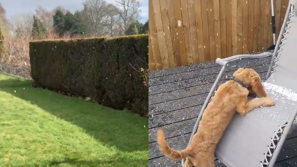 Sun, snow and hail combine to leave Scots baffled