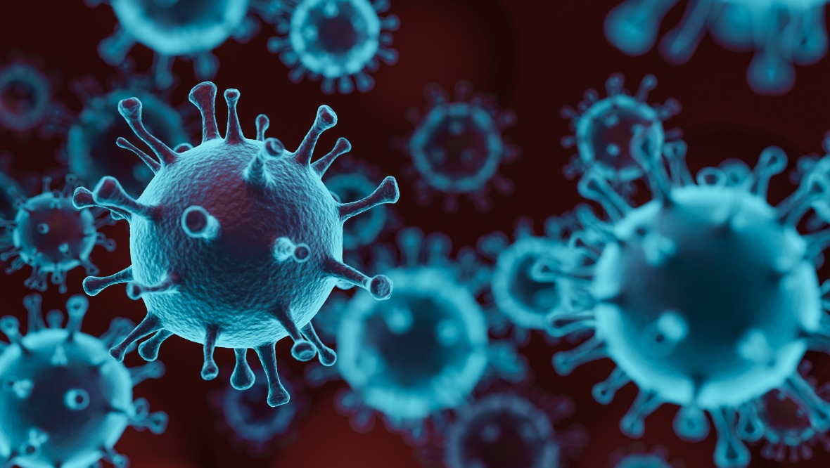 Coronavirus: Zero deaths and 146 new cases in past 24 hours