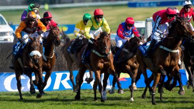 All eyes on Ayr for build up to Scottish Grand National