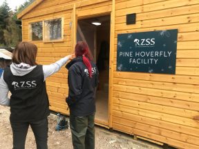 ‘Game changing’ new home for rare hoverfly breeding programme