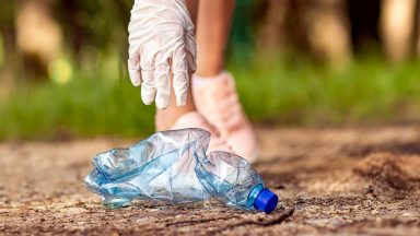 Council staff spend 12 hours a week picking up rubbish at beauty spot