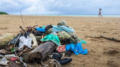 Clean-up crew hit the coast to target hard-to-reach litter