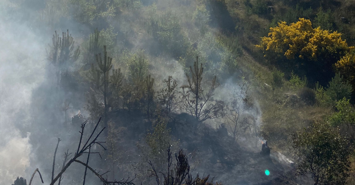 Army help firefighters as huge wildfire destroys woodland