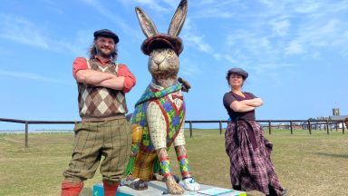 In pictures: Giant colourful hares on the loose