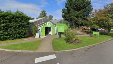 Edinburgh Butterfly and Insect World to close permanently