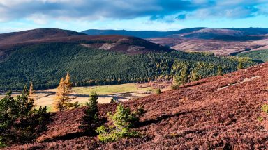 Cairngorms landscape project to receive £12.5m in funding