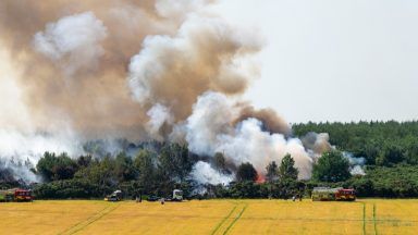 Emergency crews remain at scene of forest fire 24 hours on