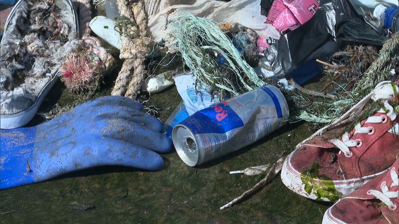 More action needed to tackle 'litter emergency'