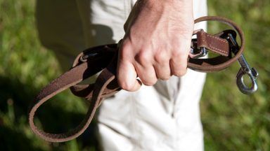 Man kept dog for fighting and neglected pet’s injuries