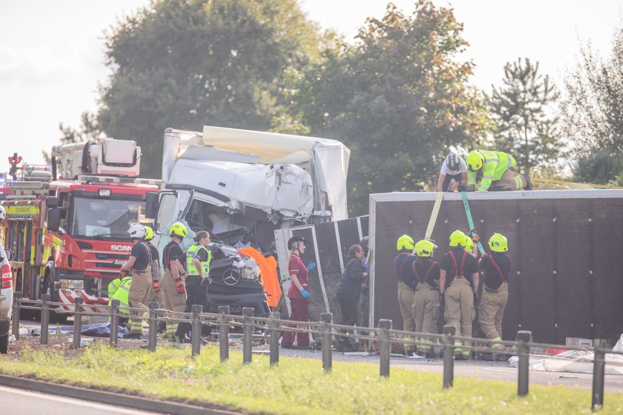 Four horses were tragically killed in the crash on the A9.