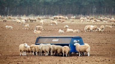 Scottish Government launches loan scheme for farmers and crofters