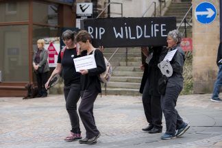 Extinction Rebellion activists hold ‘wildlife funeral procession’