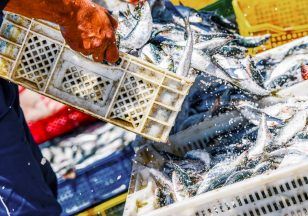Keir Starmer’s EU deal ‘absolutely terrible’ for Scottish fishing industry