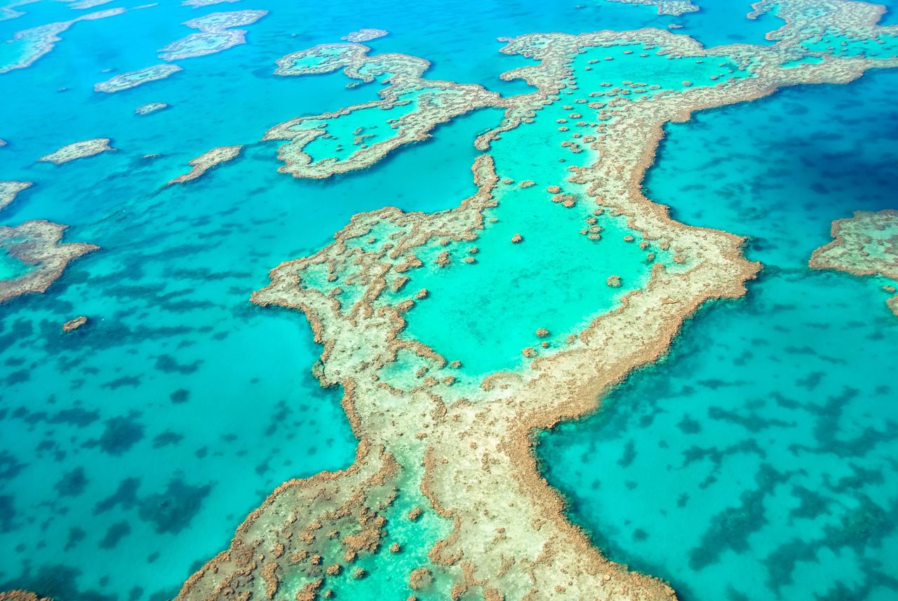 The Great Barrier Reef has also been designated as a Hope Spot.