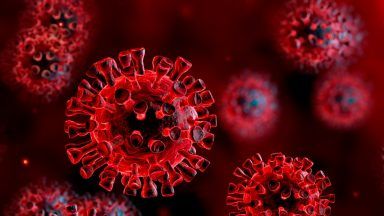 Coronavirus: 11 deaths and 6152 new cases recorded overnight