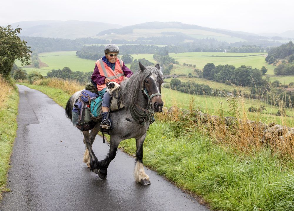 Pensioner sets off on 600-mile pony trek with pet dog in saddlebag