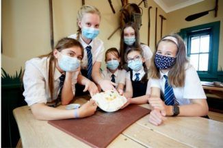 Food education scheme to ‘champion sustainability and reduce waste’