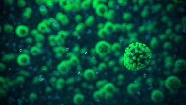 Scotland’s Covid infection rate highest in UK for seventh consecutive week