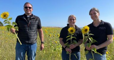 Farmer opens sunflower ‘Field of Hope’ to raise charity funds