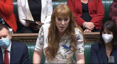 INSIGHT: Angela Rayner story proves the dinosaurs are not extinct after all