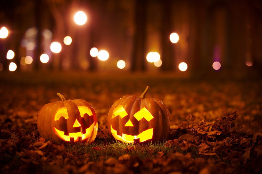 Pumpkin demand ‘to rise by 15%’ after last year’s restricted Halloween