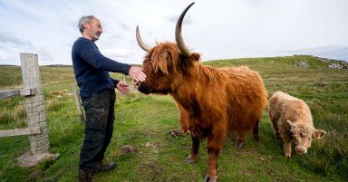 Call for changes at Crofting Commission after ‘breakdown in trust’