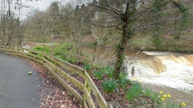 Hunt for man who exposed himself to woman and carried out solo sex act