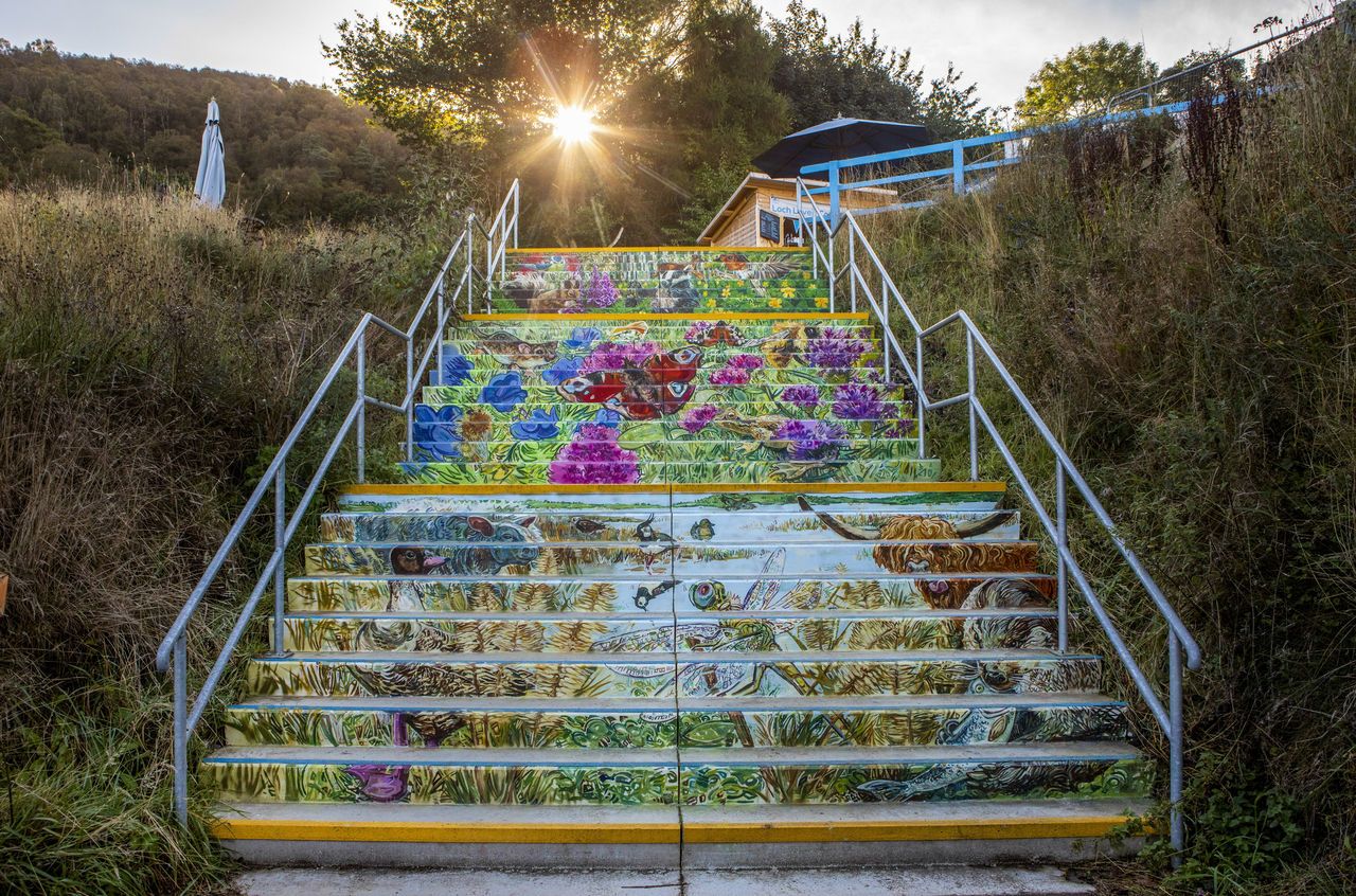 Mural on steps at RSPB Loch Leven. SWNS.