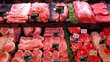 Alok Sharma signals opposition to carbon tax on meat