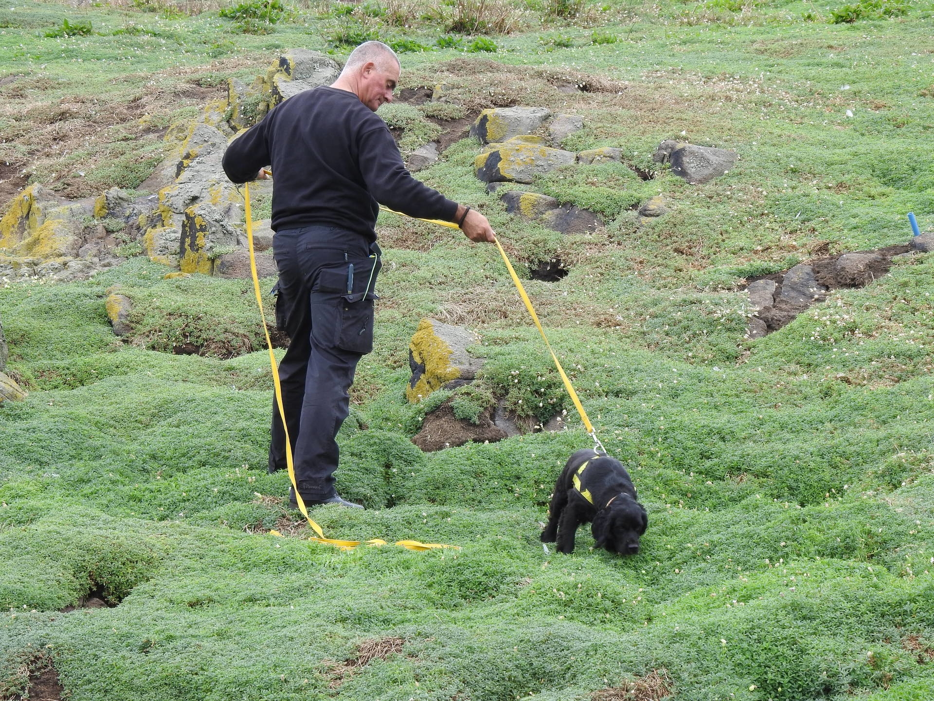 Simon Chapman from K9 with Molly.