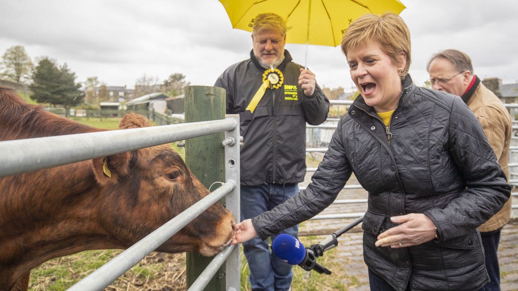 Dutch animal feed firm agrees £100m methane busting Scottish deal