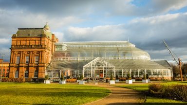 Council urged to apply for Government funds to renovate Winter Gardens