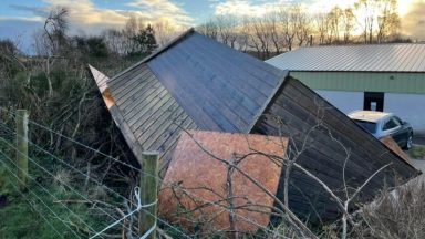 Charity fundraiser to replace horse shelters destroyed by Storm Arwen