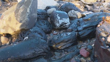 Concerns over waste from historic tip ‘spilling out’ onto beach