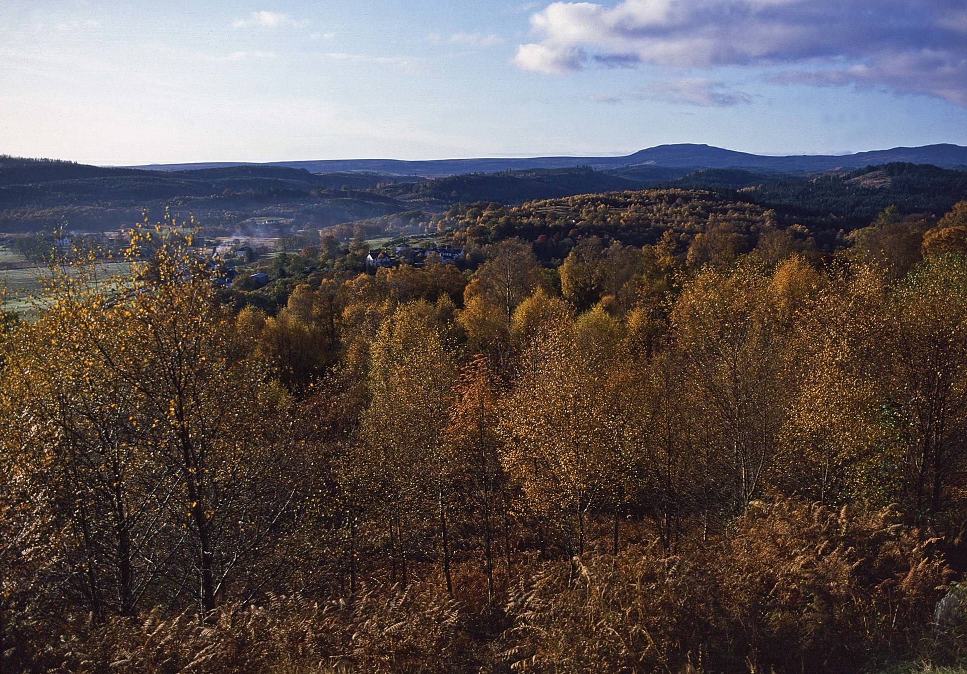 Aberfoyle, Stirling.